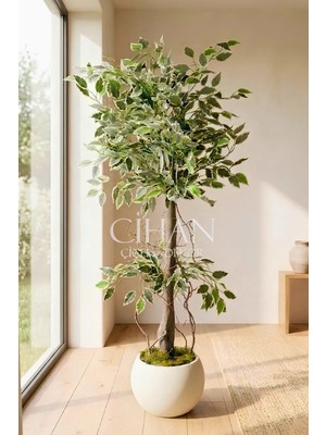 Cihan Çiçekçilik Yapay Benjamin Starlight Ağacı Beyaz-Yeşil 120 cm Küre Saksılı