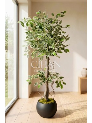 Cihan Çiçekçilik Yapay Benjamin Starlight Ağacı Beyaz-Yeşil 120 cm Küre Saksılı
