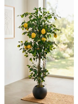 Cihan Çiçekçilik 10 Limonlu Yapay Limon Ağacı 180 cm Küre Saksılı