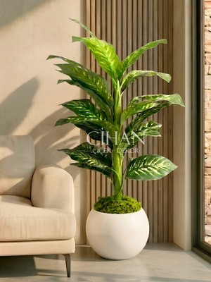 Cihan Çiçekçilik Yapay Difenbahya Ağacı 120 cm 27X33 cm Beyaz Küre Saksı
