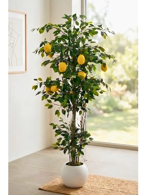 Cihan Çiçekçilik 10 Limonlu Yapay Limon Ağacı 180 cm Küre Saksılı