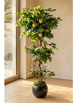 Cihan Çiçekçilik Yapay Limon Ağacı 180 cm - 6 Limonlu Siyah Küre Saksılı 27X33 cm