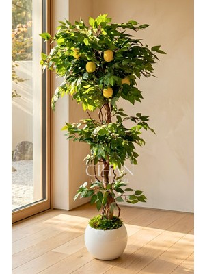 Cihan Çiçekçilik Yapay Limon Ağacı 180 cm - 6 Limonlu Beyaz Küre Saksılı 27X33 cm