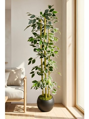 Cihan Çiçekçilik Yapay Alacalı Ficus Ağacı 3 Bambulu 110 cm 27*33 Siyah Küre Saksılı