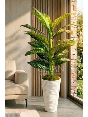 Cihan Çiçekçilik Yapay Difenbahya Ağacı - 57X30 Dekoratif Kumsal Saksılı 160 cm