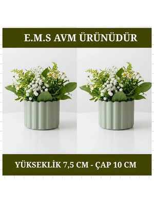E.M.S 2 ADET MİNT YEŞİLİ ÇUBUK DESEN SAKSI SUKULENT MENEKŞE SAKSISI DEKORATİF SAKSI 7,5 X 10 CM.