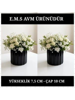 E.M.S 2 ADET SİYAH ÇUBUK DESEN SAKSI SUKULENT  MENEKŞE SAKSISI DEKORATİF SAKSI 7,5 X 10 CM.