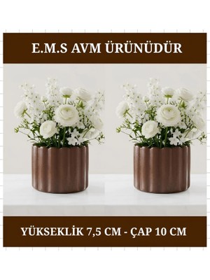 E.M.S 2 ADET KAHVERENGİ ÇUBUK DESEN SAKSI SUKULENT MENEKŞE SAKSISI DEKORATİF SAKSI 7,5 X 10 CM