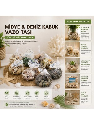 Nevamel® Dekoratif Vazo Taşı - Midye ve Deniz Kabuğu - Fileli Renkli Mix