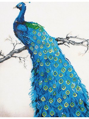 Liva Craft Elmas Mozaik Tablo Mavi Tavus Kuşu – 60 x 84 cm
