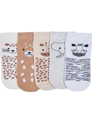 Hellobaby Erkek Bebek 5li Soket Çorap Dinozor Baskılı