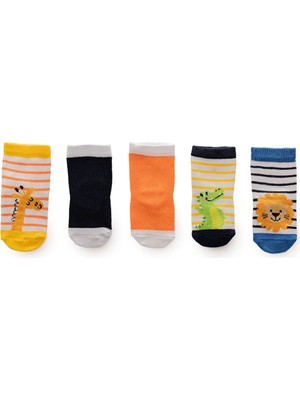 Hellobaby Erkek Bebek 5li Soket Çorap Puantiye Baskılı