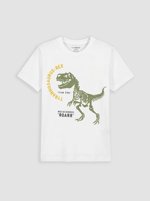 Lc Waikiki Yeni Sezon Dinozor Baskılı Erkek Çocuk Tişört