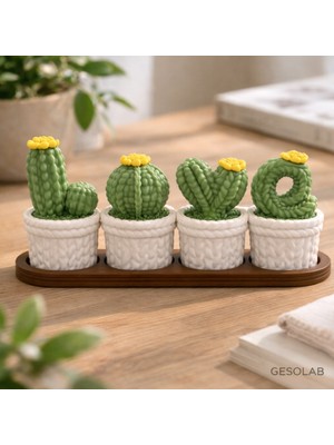 Gesolab Love Yazılı 4’lü Kaktüs Dekor Seti – Kapaklı Mini Saklama Kutulu Örgü Desenli Plastik Saksılar -20CM