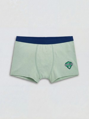Lc Waikiki Yeni Sezon Baskılı Erkek Çocuk Boxer