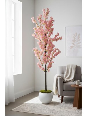 Nettenevime Yapay Ağaç Bahardalı Ağacı Beyaz Küre Saksıda Japon Kiraz Çiçeği Pembe Açık Renkli 170*60CM
