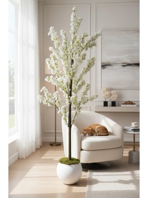 Nettenevime Yapay Ağaç Bahardalı Ağacı Beyaz Küre Saksıda Japon Kiraz Çiçeği Beyaz Renkli 170*60CM