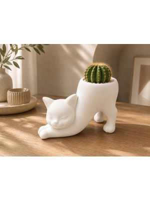 Sylva Concept Dekoratif Kedi Saksı – Modern Minimal Tasarım | Kaktüs ve Sukulentler Için Şık Saksı