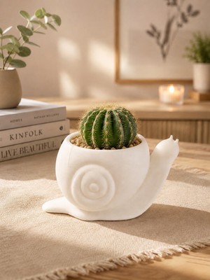 Sylva Concept Dekoratif Salyangoz Saksı – Modern Minimal Tasarım | Kaktüs ve Sukulentler Için Şık Saksı
