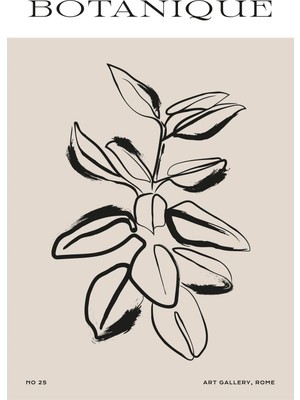 Kanvas Tr Botanique Yazılı Minimalist Yaprak Çizimi Line Art Kanvas Tablo
