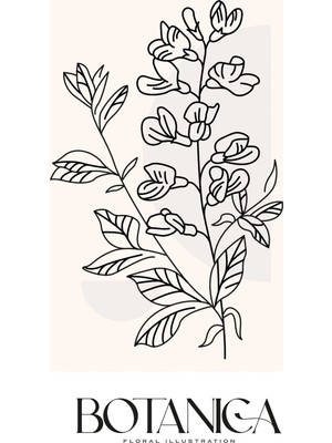 Kanvas Tr Botanica Yazılı Minimalist Çiçek Çizimi Line Art Kanvas Tablo