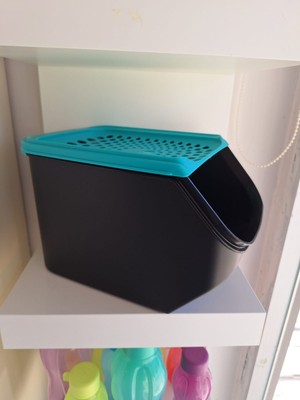 Tupperware Kiler