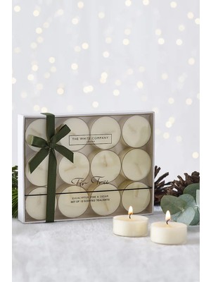 The White Company Tealight  Çam Kokulu Mum Seti 12'li
