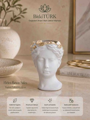 BitkiTÜRK Helen Beton Saksı 14 cm Gold Detaylı Dekoratif Beton Saksı | Sukulent, Kaktüs ve Masaüstü Saksısı | Mutfak, Banyo ve Ofis Dekoru