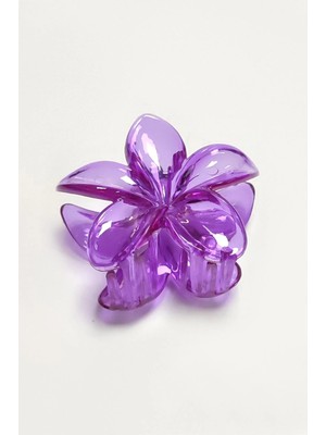 Lotus Toka 8 cm