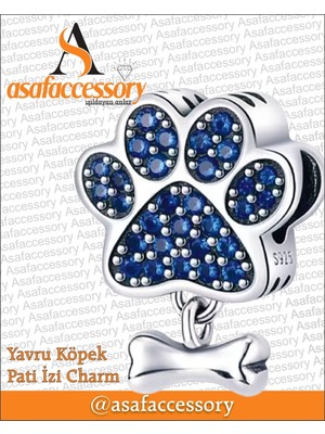 Yavru Köpek Pati Izi Charm Gümüş