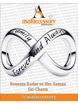 Sonsuzluk Işareti Gri Charm Asafaccessory Gümüş