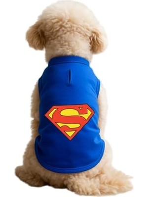 Die Grup Kedi ve Köpek Kıyafeti & Elbisesi Saks Mavi Superman Atlet S