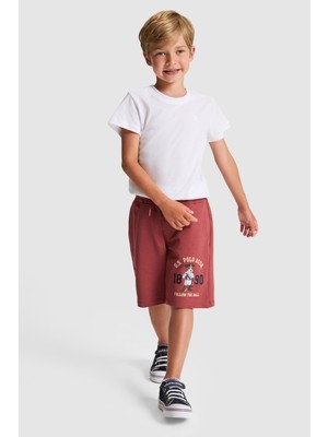 U.s. Polo Assn. Erkek Çocuk Vişne Şort (Örme) 50323936-VR223