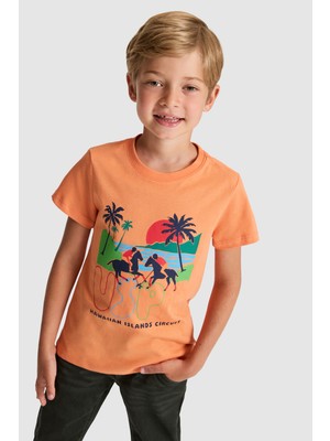 U.s. Polo Assn. Erkek Çocuk Turuncu Tişört 50320412-VR051