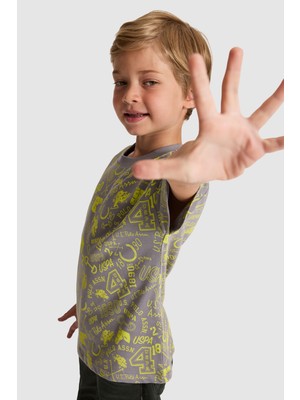 U.s. Polo Assn. Erkek Çocuk Gri Tişört 50327032-VR024
