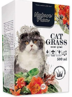 Nature Plan Çimi 500 ml