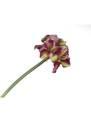 Mikasa Eflatun Yeşil  Yapay Amaryllis 73cm