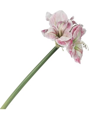 Mikasa Moor Pembe Yapay Amaryllis 73Cm