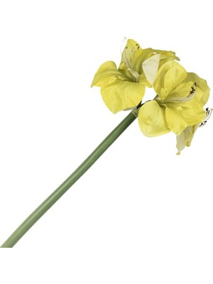 Mikasa Sarı Yapay Amaryllis 73cm