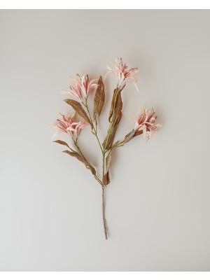 English Home Bauhinia Plastik Tek Dal Yapay Çiçek 84 cm Açık Somon