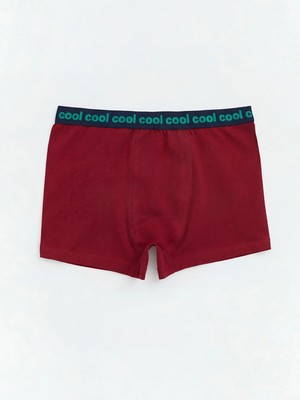 Lc Waikiki Yeni Sezon Baskılı Erkek Çocuk Boxer