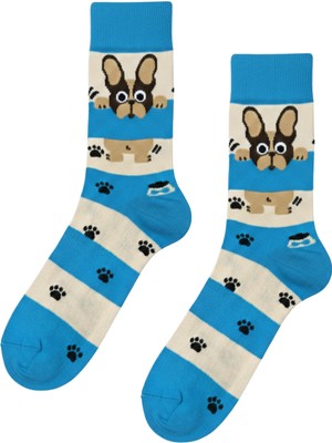 Carnaval Socks French Bulldog  Desenli Renkli Çorap