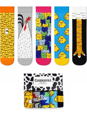 Carnaval Socks 5\\\'li Civciv & Kedi Desenli Çorap Koleksiyonu  / Özel Tasarım Premium Kutulu Çorap Seti