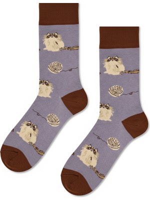 Carnaval Socks Himalyan Kedi Desenli Soket Çorap