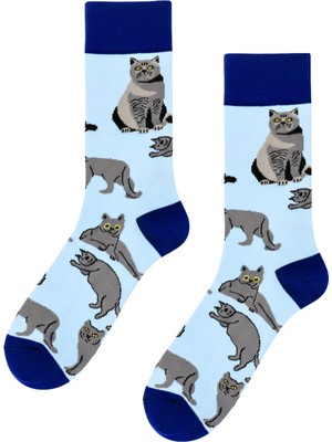 Carnaval Socks British Kedi Desenli Mavi Soket Çorap