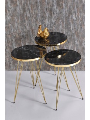 Zigon Sehpa Gold Bendir Tel