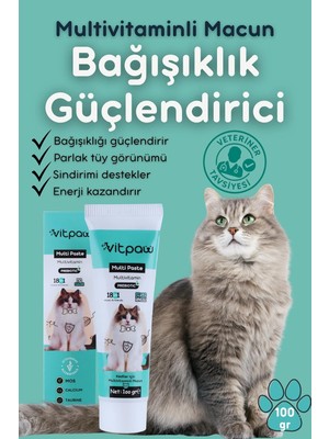 Vitpaw Multi Paste 100 Gr.(Kediler Için Bağışıklık Güclendirici Tüy Yumağı Önleyici Multivitamin)
