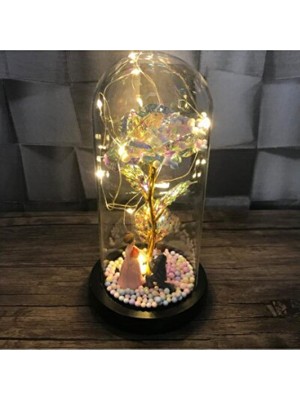 Empressco Sevgililer Günü LED Işıklı Fanuslu Solmayan Gül Hediye
