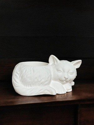 Artnest Kedi Minimalist Dekoratif Kaktüs ve Sukulent Saksısı, Beyaz Renkli Hediyelik Kaktüs ve Sukulent Saksısı , Ev Dekoru, Masa Dekoru, Anneler Günü
