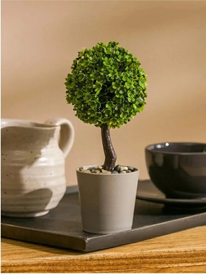 NEVVALİFE Yuvarlak Saksıda Çam Çiçeği, Mini Yuvarlak Saksıda Taş Dolgulu Dekoratif Yapay Bitki, Ev, Ofis, Çalışma Masası Için Estetik Modern Masaüstü Süsü